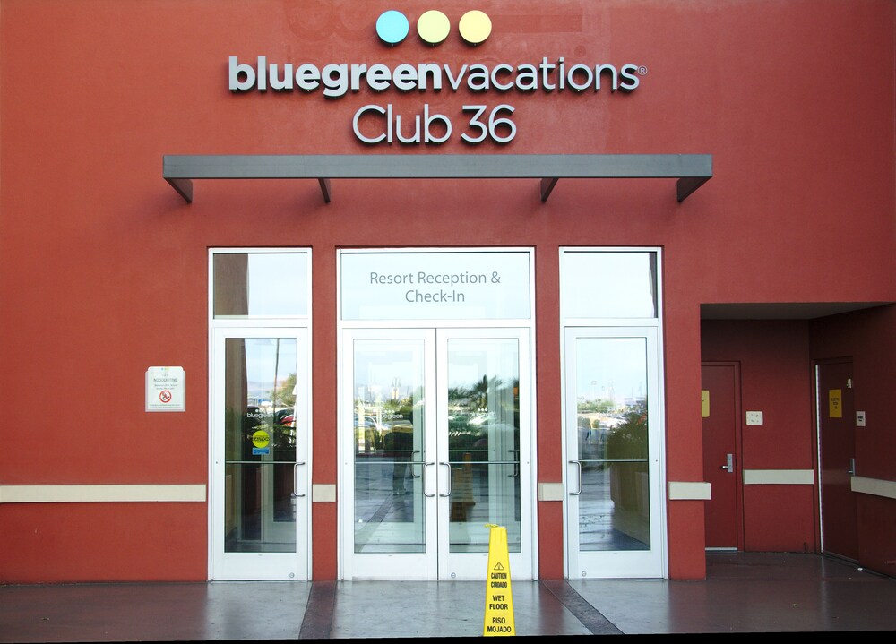 Fun & Funky Resort close to the Stirp