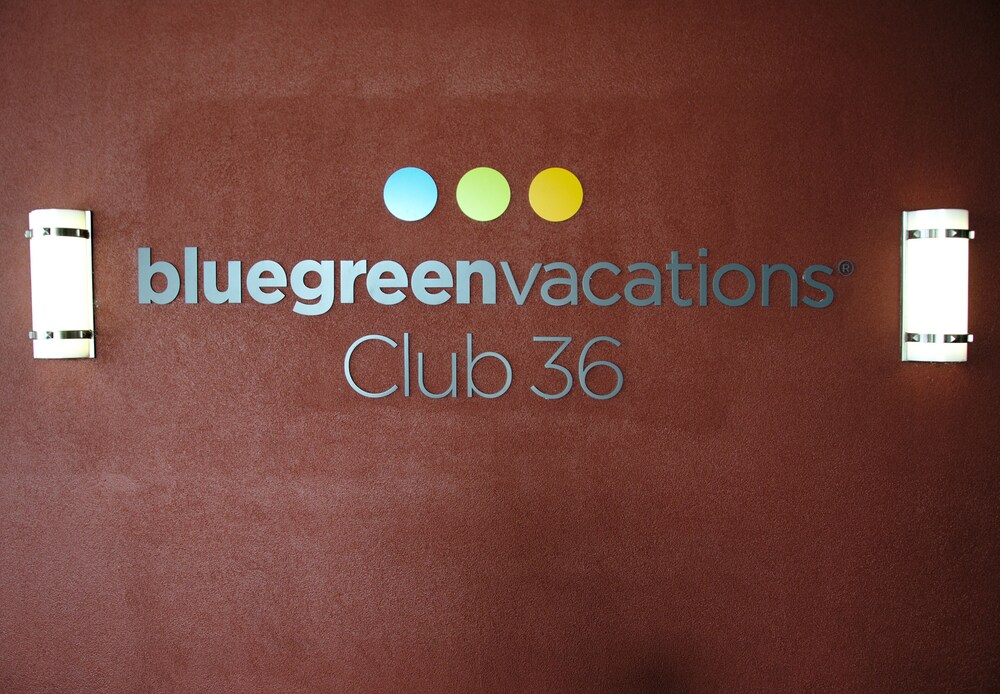 Fun & Funky Resort close to the Stirp