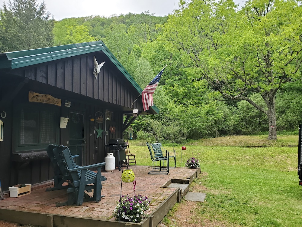 Cozy Catskills Cabin Your perfect rustic getaway Pet friendly Town