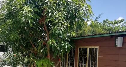 Cabañas Chaac Calakmul
