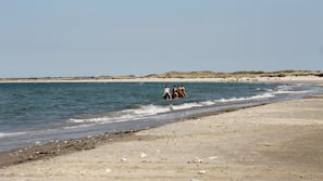 På stranden, hvidt sand