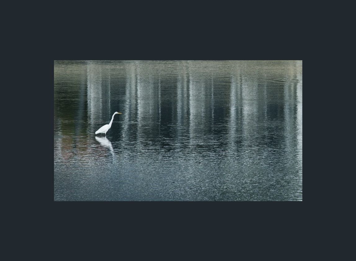 Couran Cove Island Resort Two Bedroom Lodge