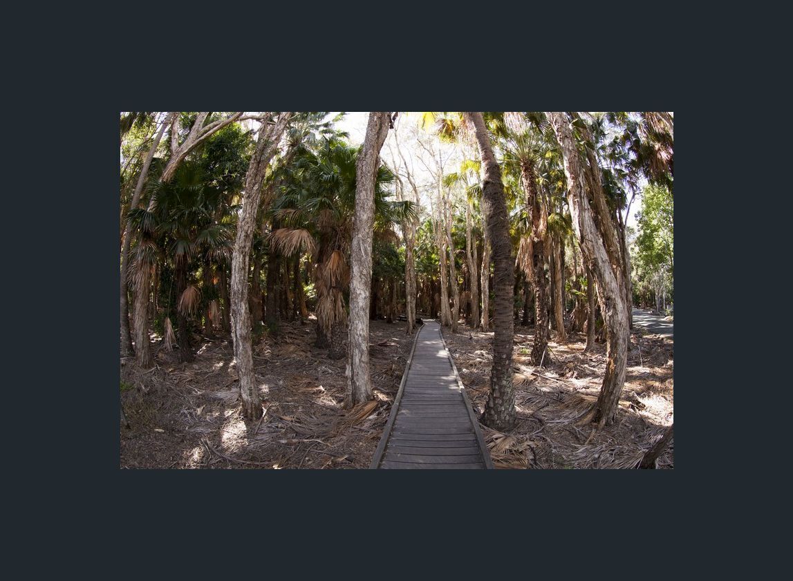 Couran Cove Island Resort Two Bedroom Lodge