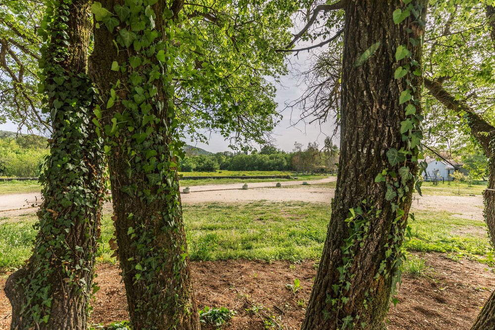 Photo - Luna Inn B&B