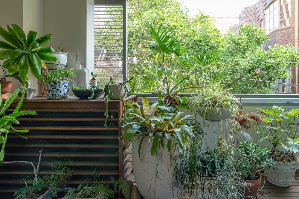 Lush Oasis In the Heart of the Action
