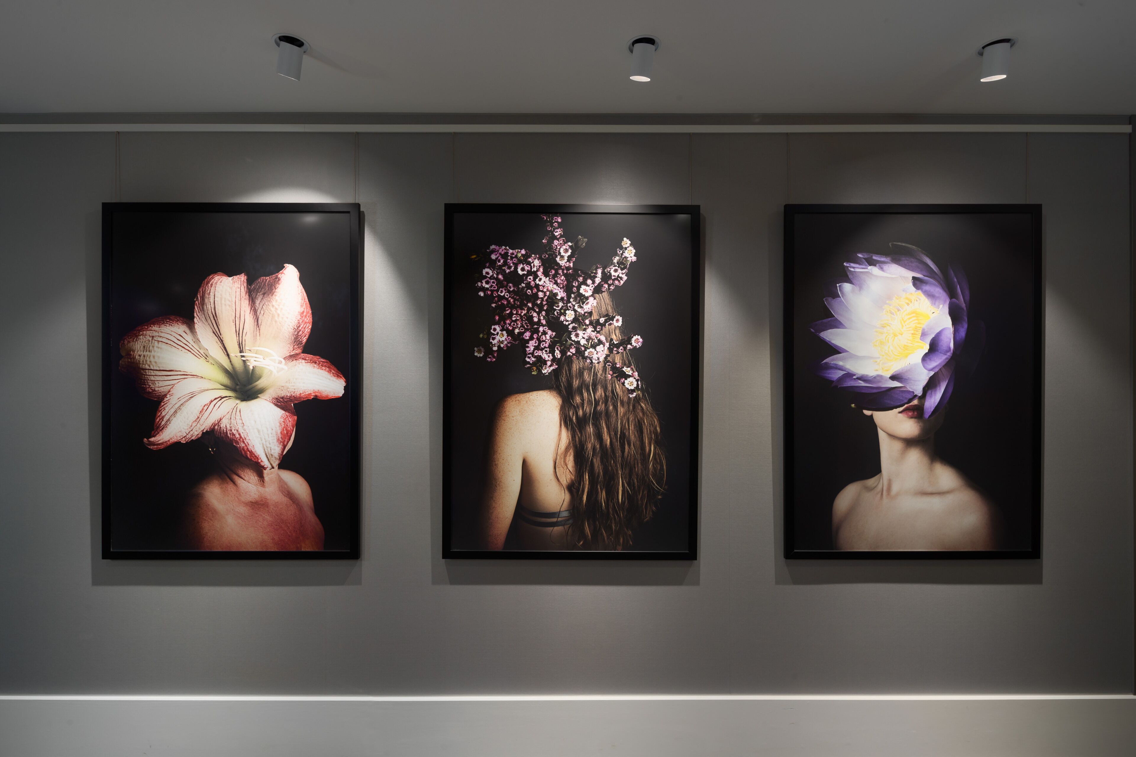 Bailey, a Crystalbrook Collection Hotel and Residence