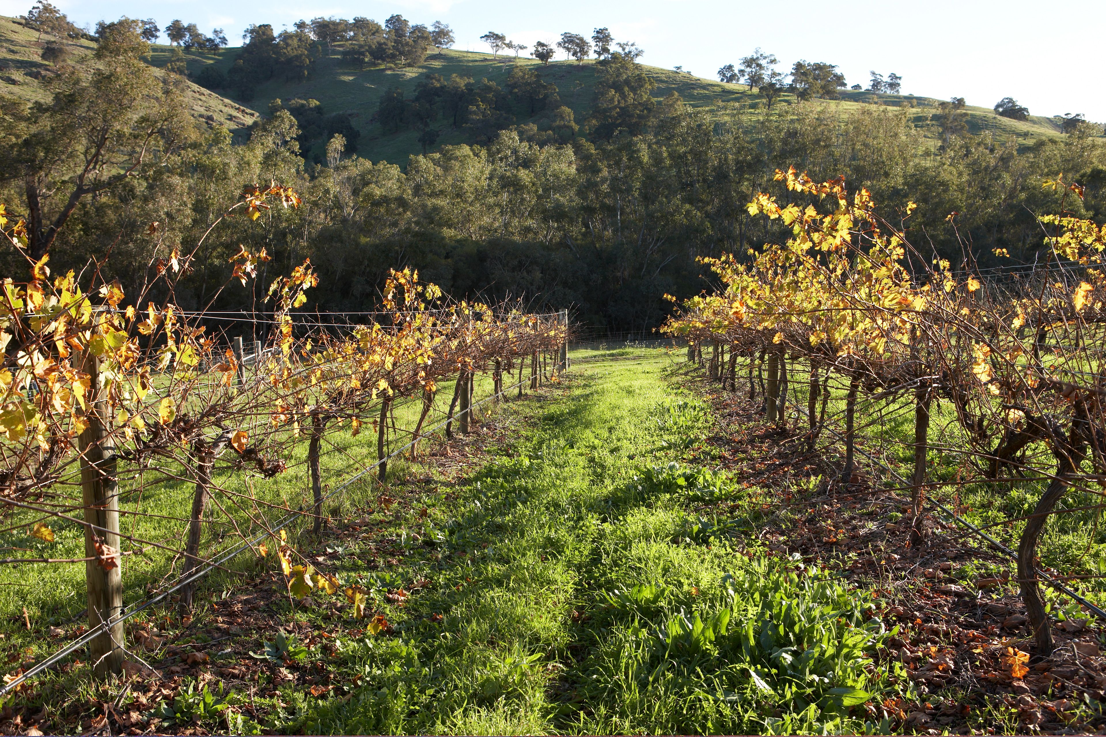 Brockman Park Estate