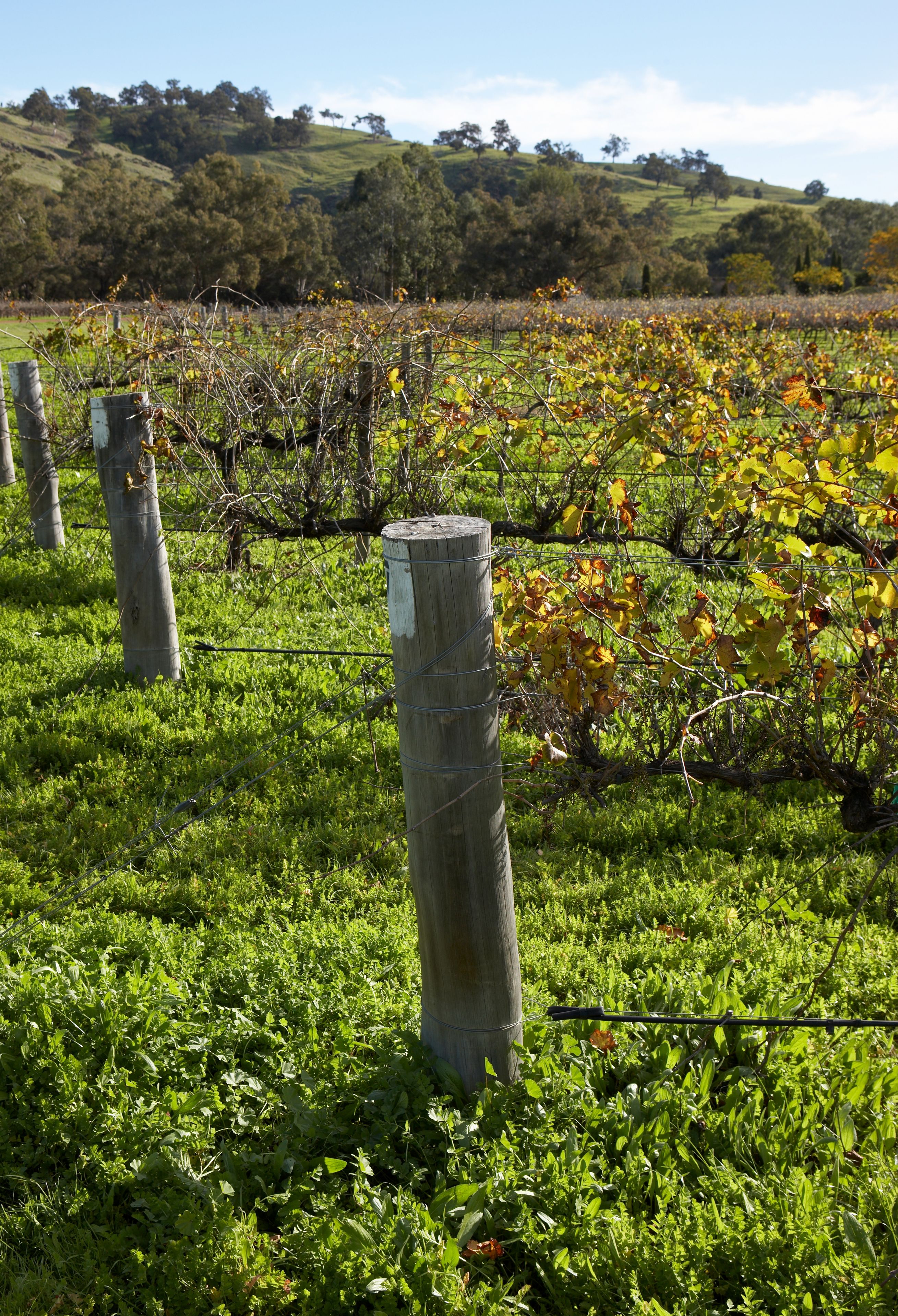 Brockman Park Estate