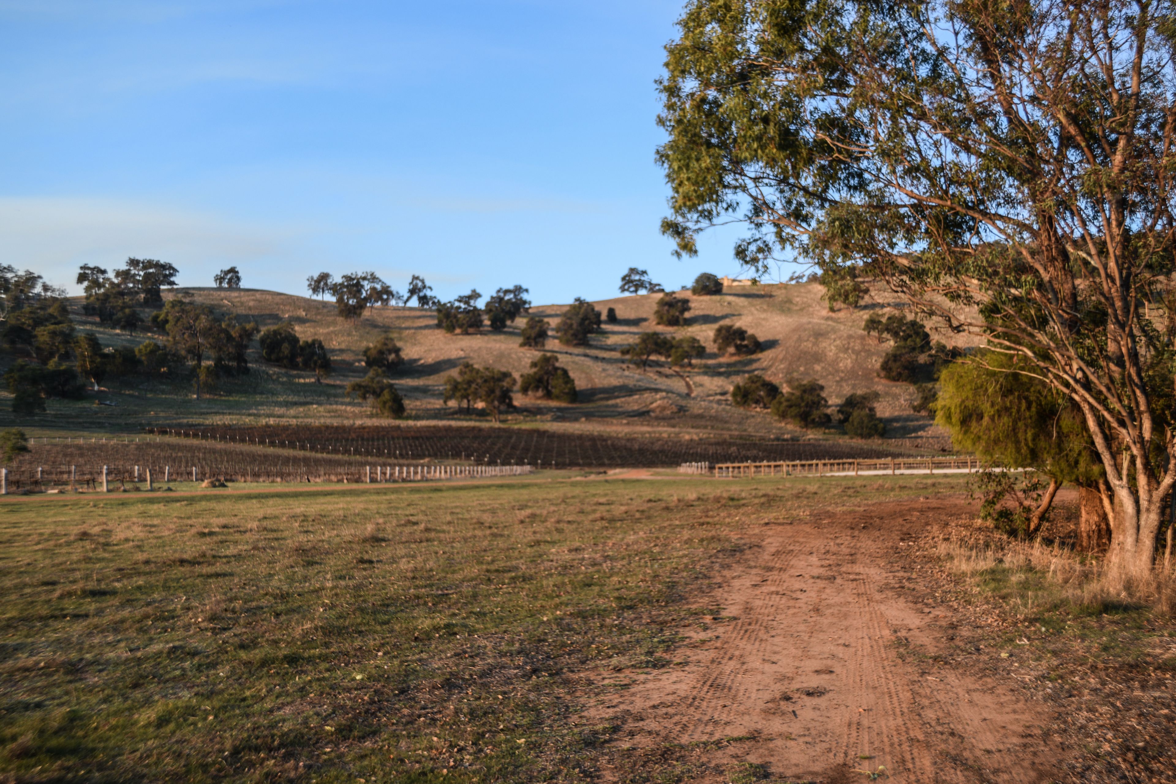 Brockman Park Estate