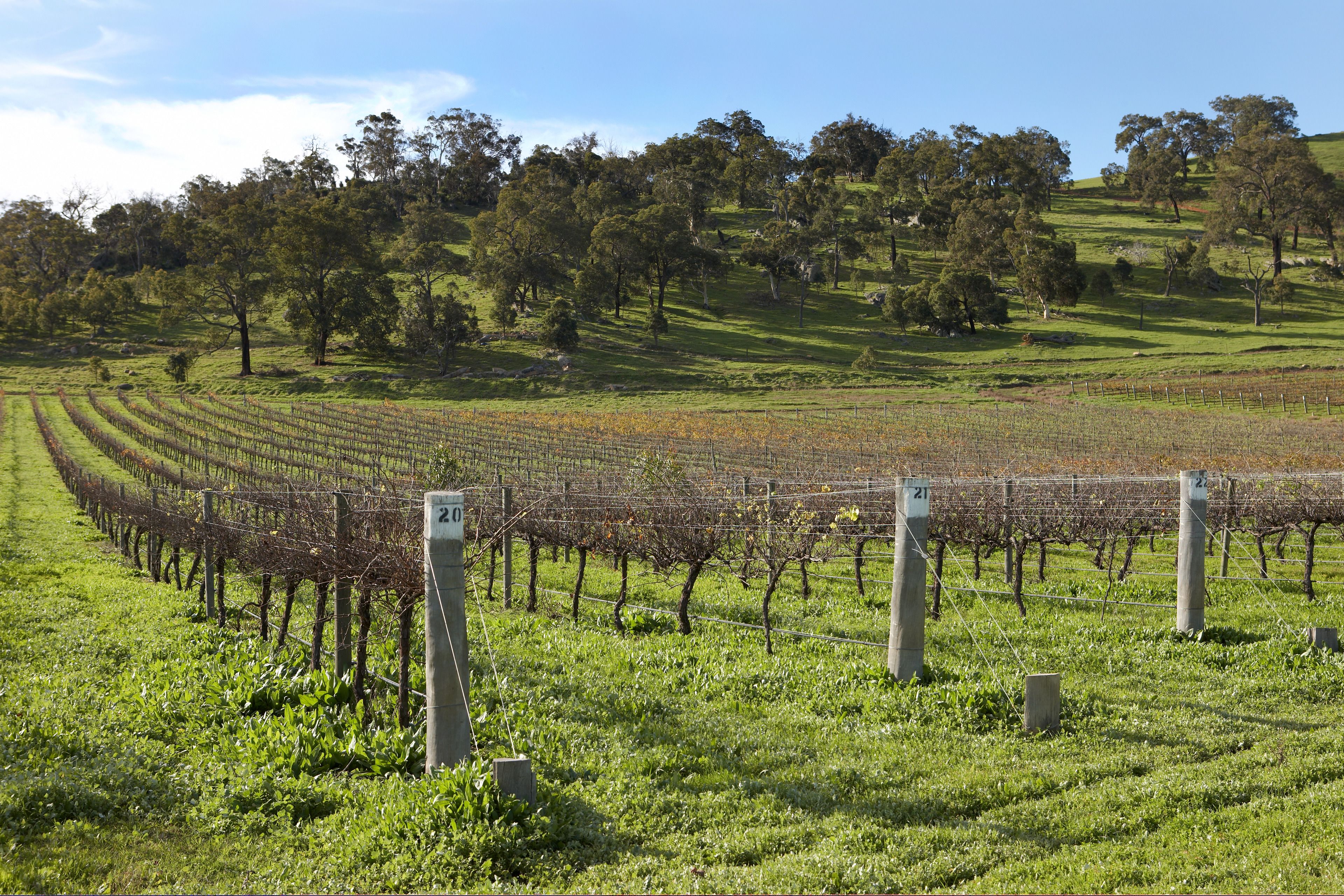 Brockman Park Estate