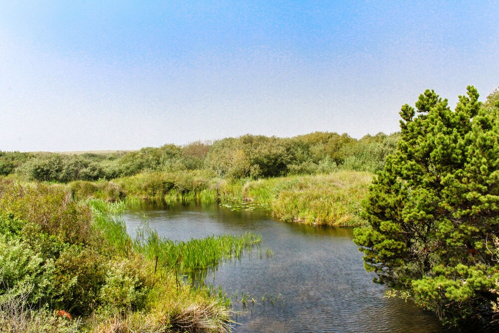 Newly Built, Dog-Friendly, Colorful Creekside Home - One Mile to the Ocean!