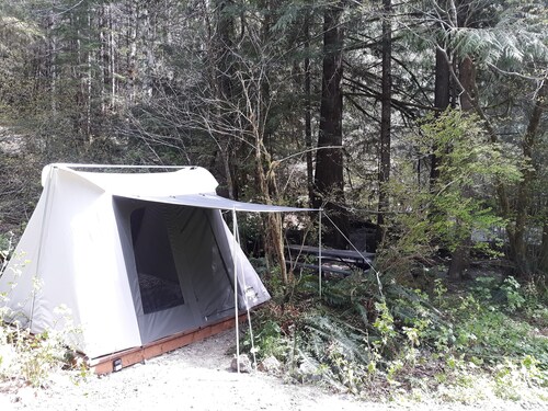 Visit Hoh Rain Forest Visitor Center in Forks | Expedia
