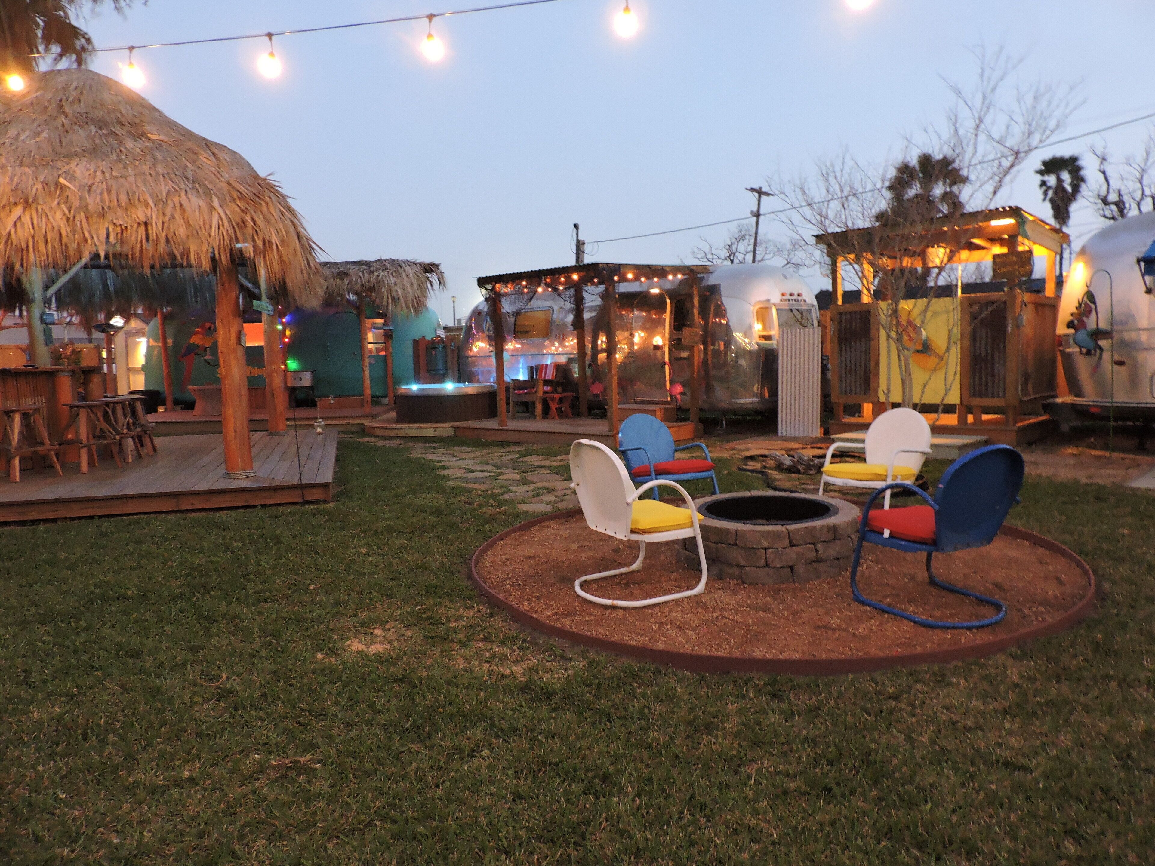 Iconic Windswept Oaks Off Aransas Bay See How They Are Bent From The Winds Rockport Tx A Fond Sight From Childhood On T Favorite Places Rockport Windswept