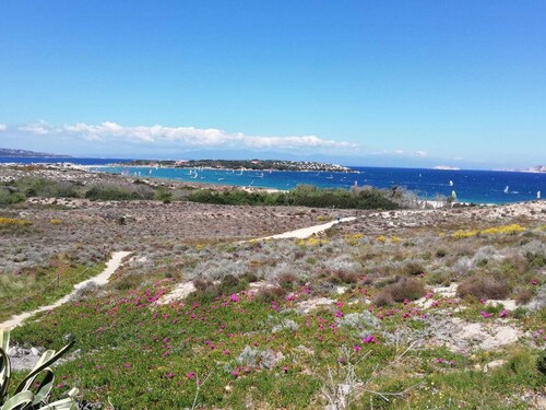 Hotels Near Porto Pollo Beach Palau Find Cheap 100 Hotel - 