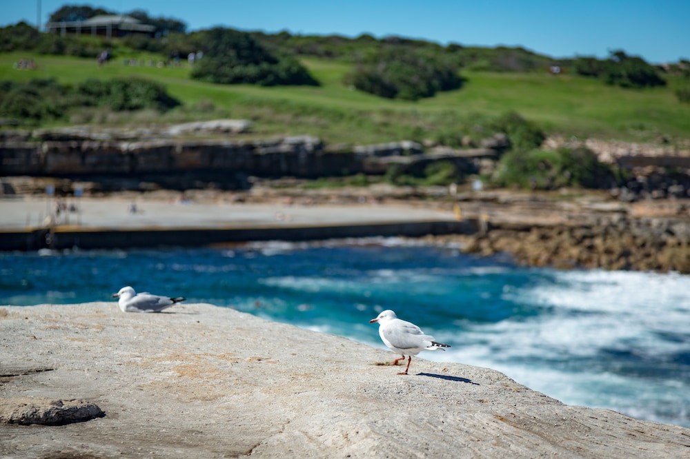 The Clovelly Hotel