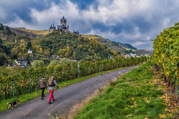 Haus Daniela Superior Reviews Photos Rates Ebookers Com