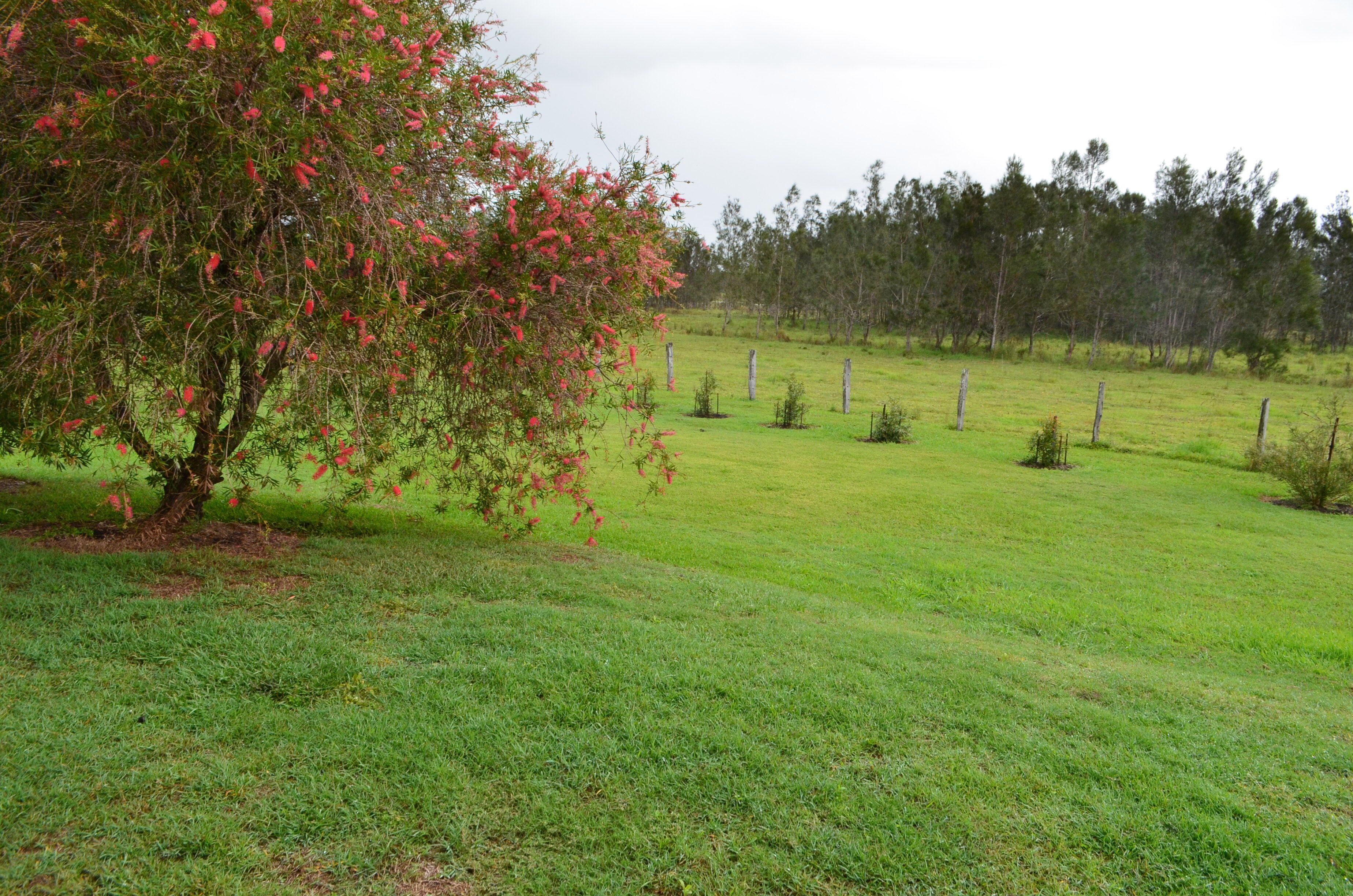 Near and Far Yamba - Farmstay - Family & Dog Friendly
