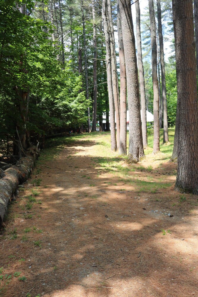 Summer Dates Available!