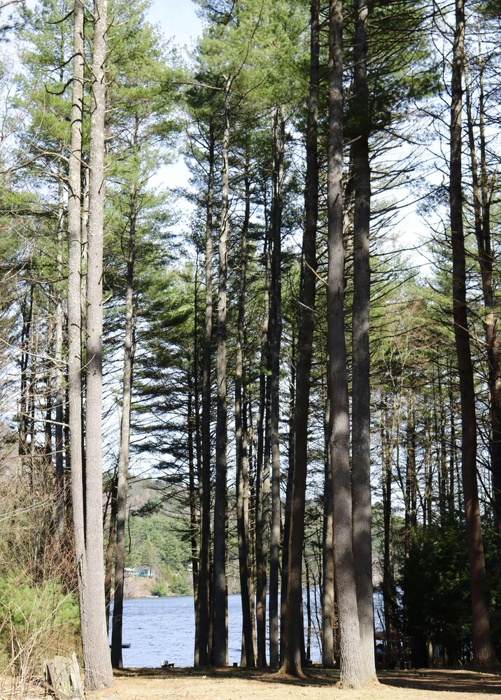 Summer Dates Available!