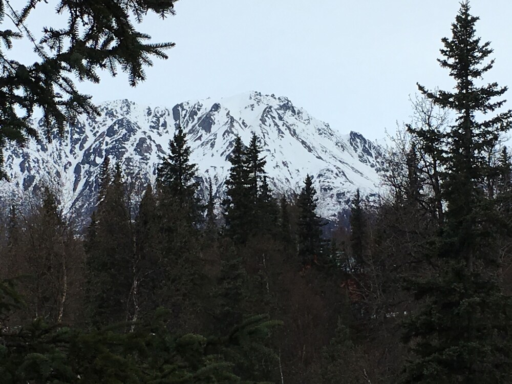 Byers Creek Lodge Eagle Cabin in Denali State Park Trapper Creek Alaska