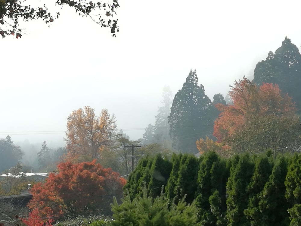 Clean Private Studio - Centrally Located in a Very Beautiful Neighborhood in Corvallis, United States