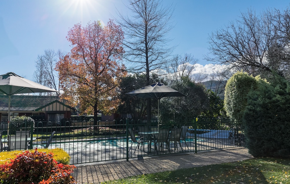 The Birch House - Silver Birches
