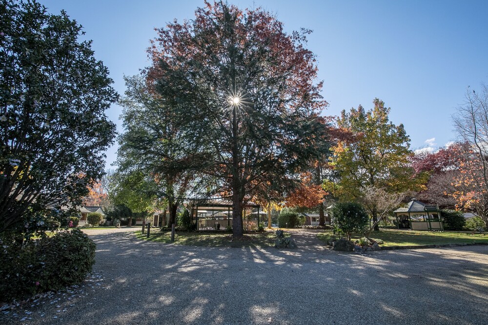 The Birch House - Silver Birches