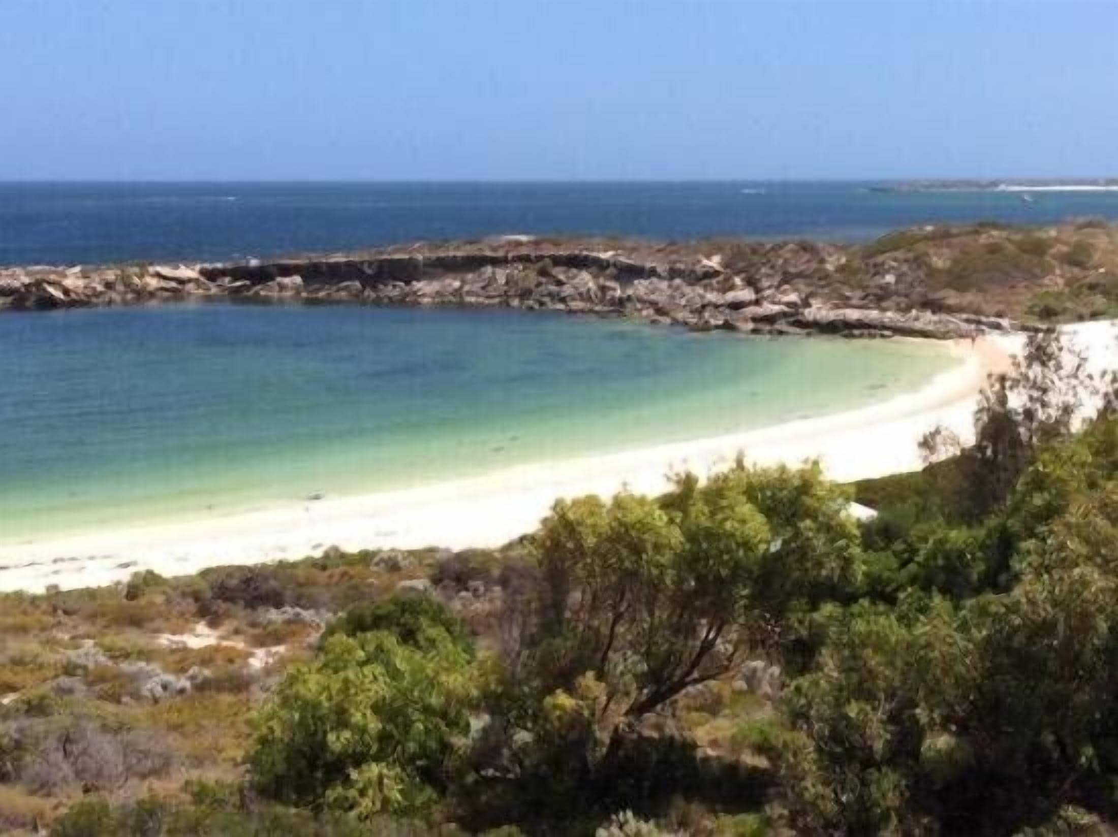 Sharpies Shack ? Greenhead ?