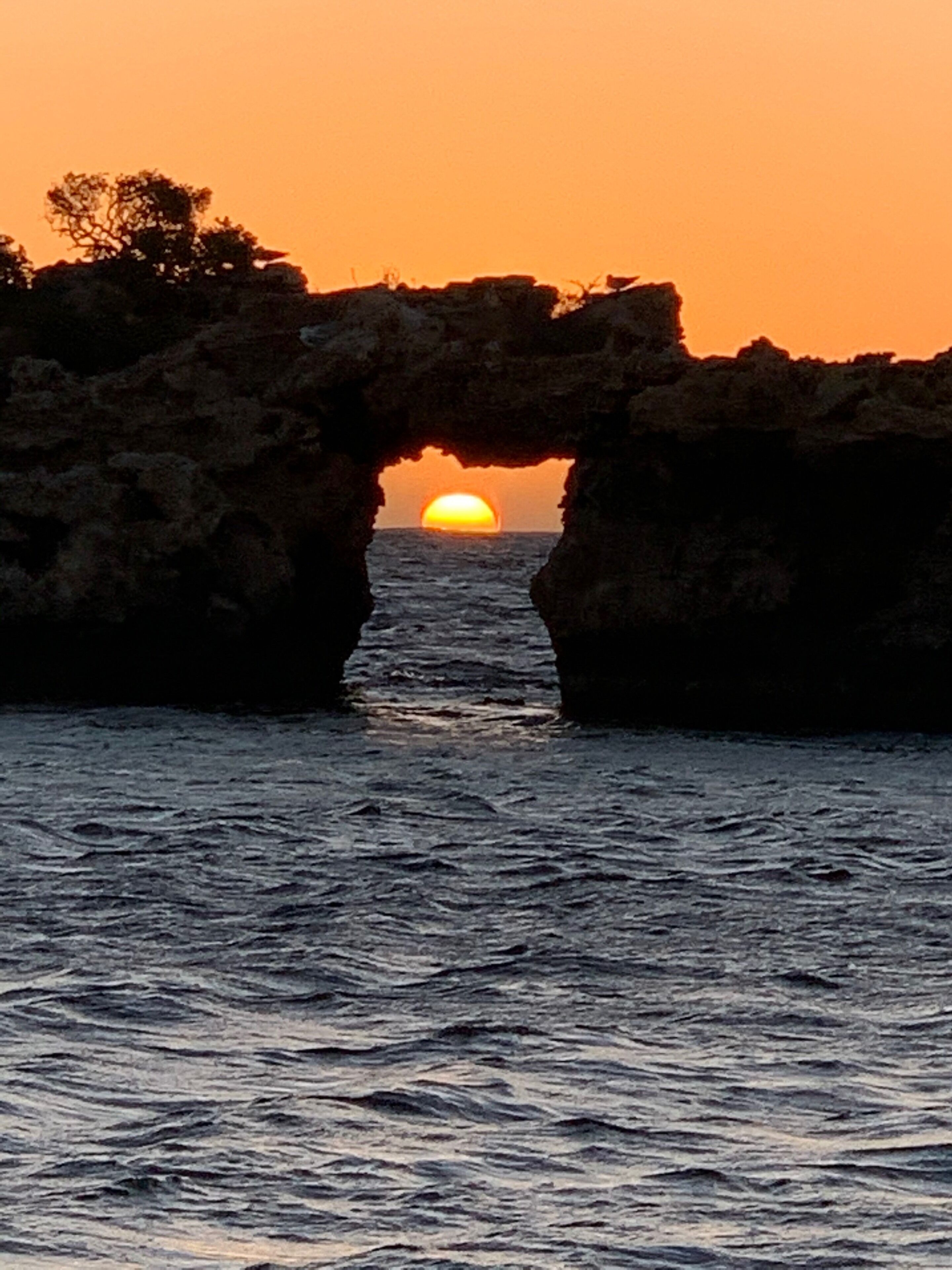 Sharpies Shack ? Greenhead ?