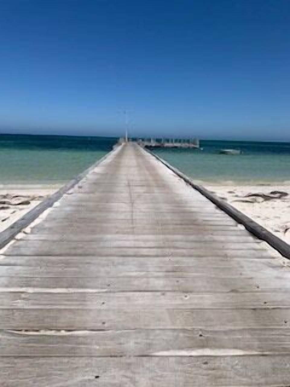 Sharpies Shack ? Greenhead ?