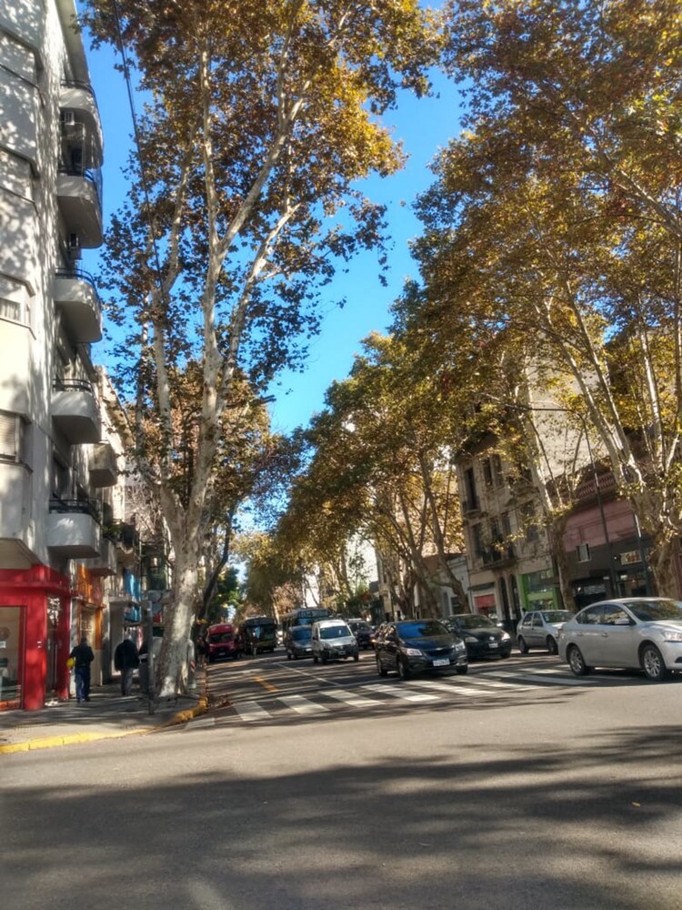 Photo - León Imperial