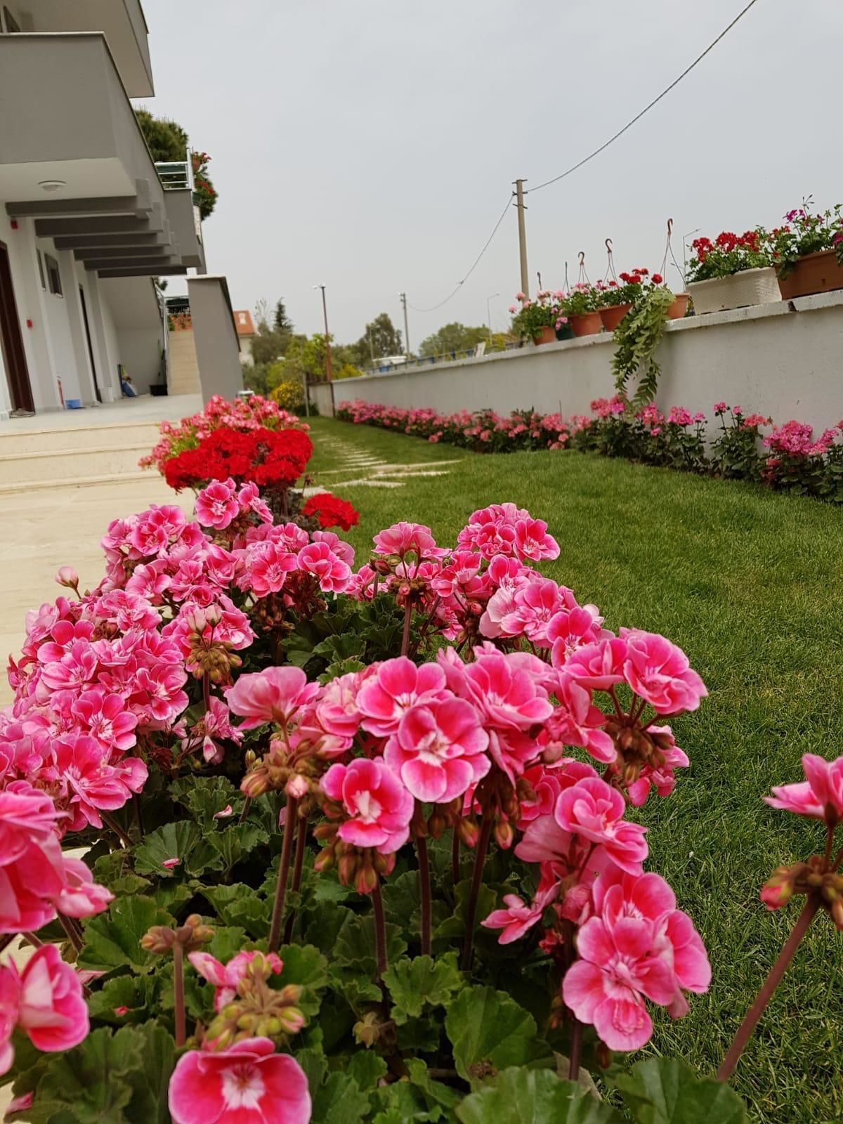 Sardunya Apart Otel In Urla Turkey Expedia