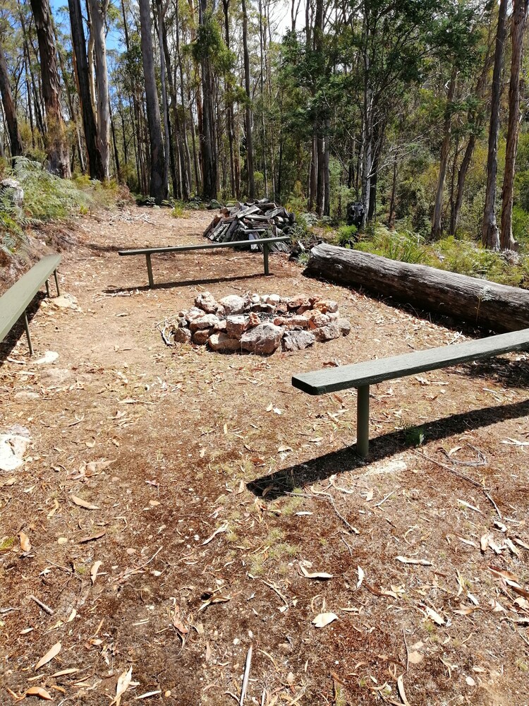 Minnow cabins