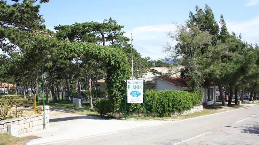 Kamp Planik- Campsite