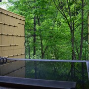 Aoni Ryokans 47 Traditional Japanese Onsen Ryokan Ortbiz - 