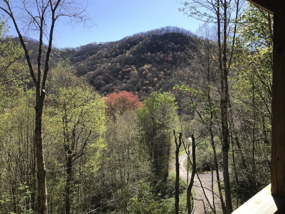 At the Woods-3 BR Pet Friendly