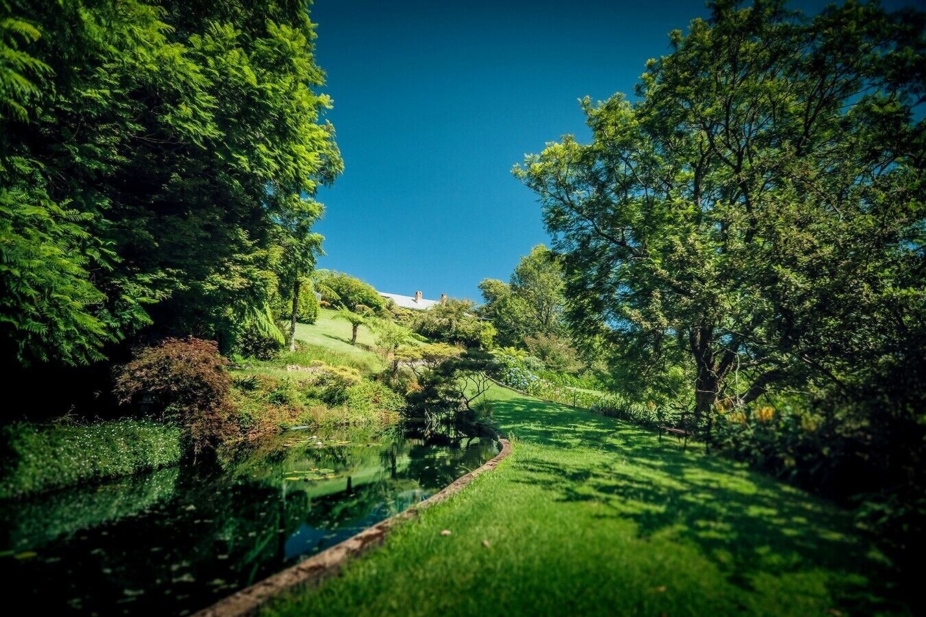 Mt Christopherson Ground Floor Family Retreat