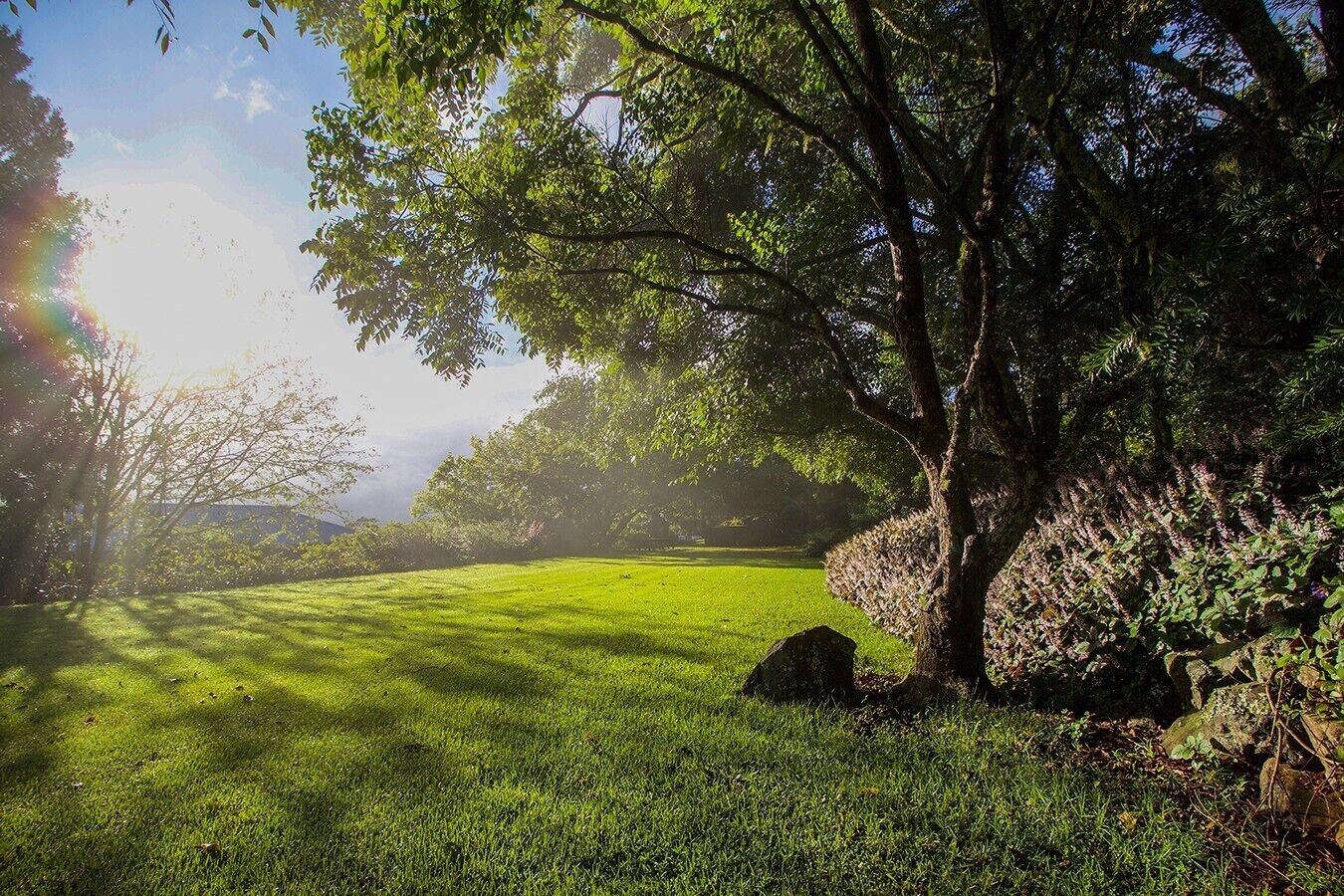 Mt Christopherson Ground Floor Family Retreat