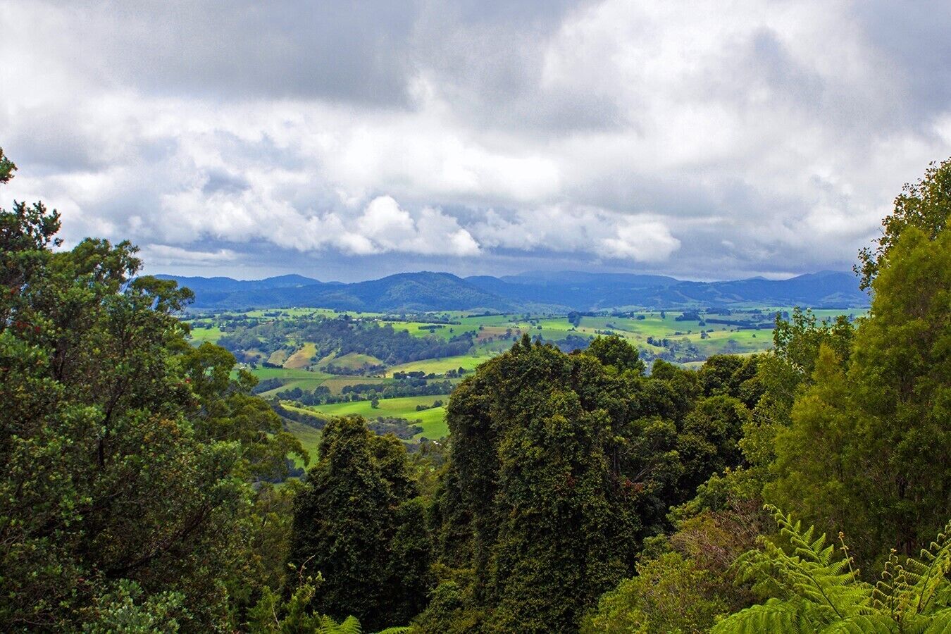 Mt Christopherson Ground Floor Family Retreat