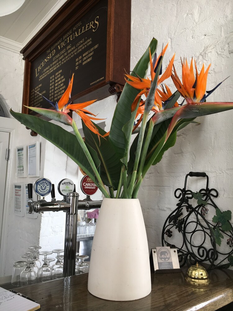 Elephant Bridge Hotel