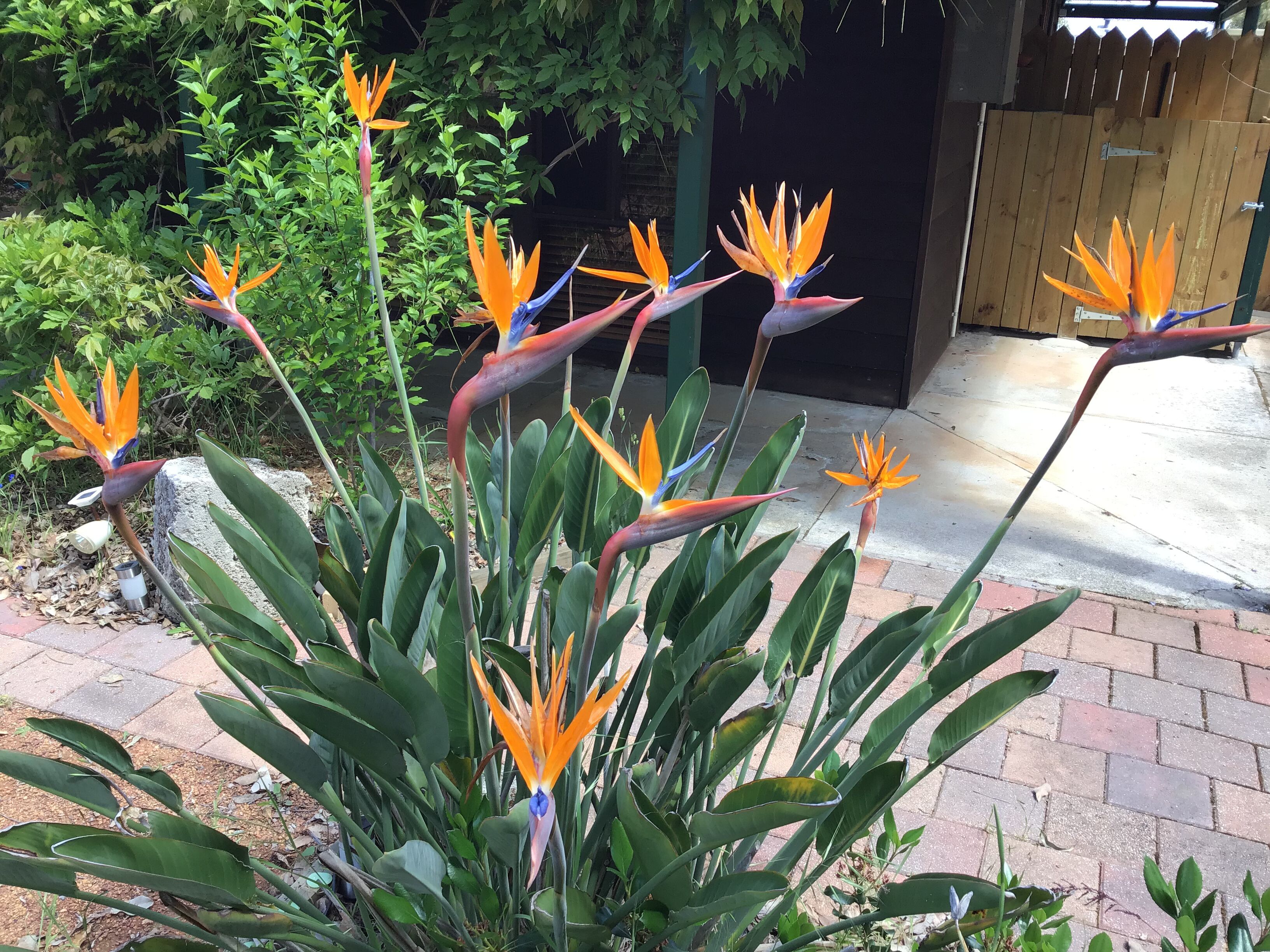 Luxury Outside Spa, Breakfast, Freshly Ground Coffee, Wine &amp; Snacks + Log Stove