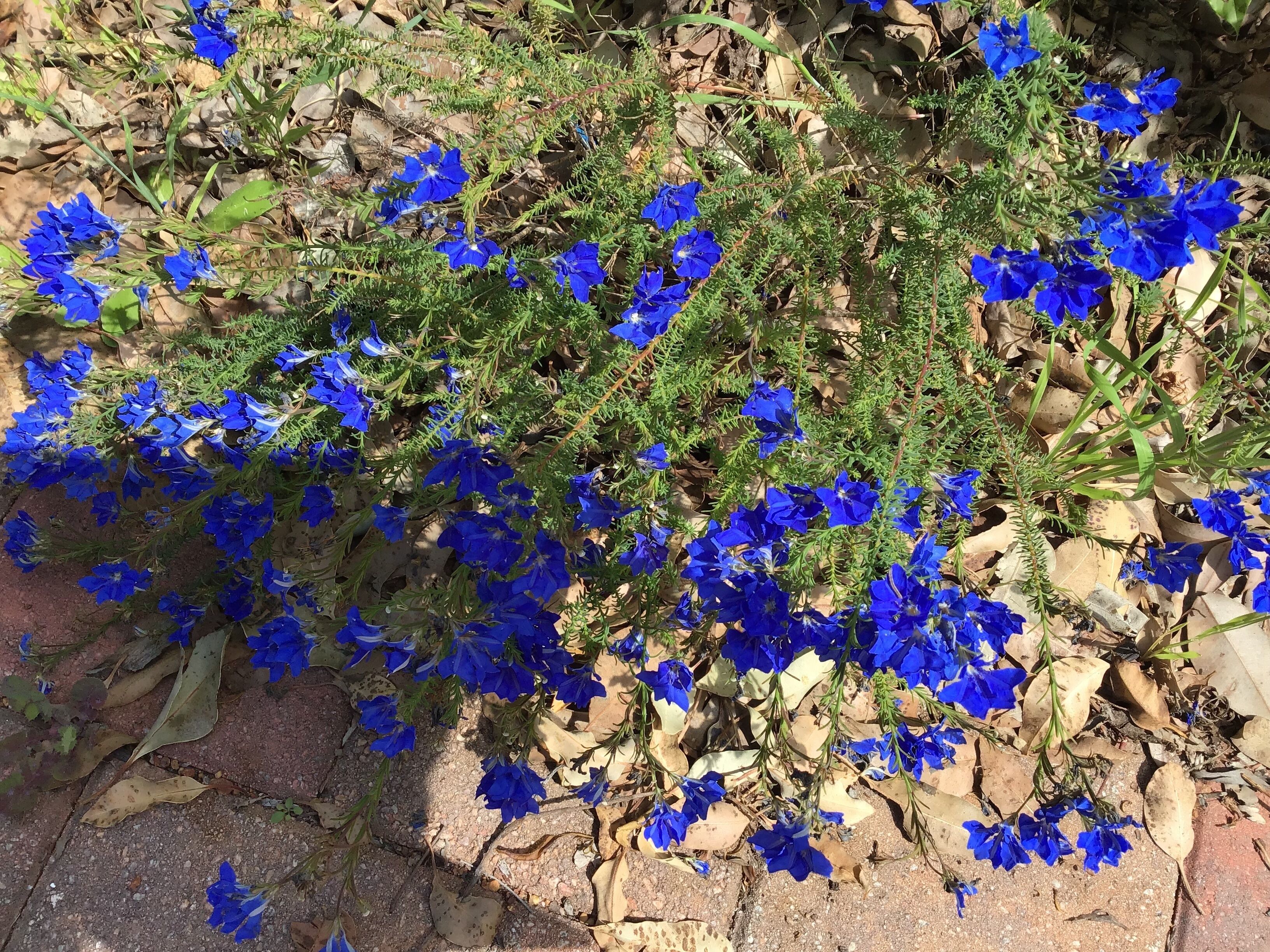 Luxury Outside Spa, Breakfast, Freshly Ground Coffee, Wine &amp; Snacks + Log Stove