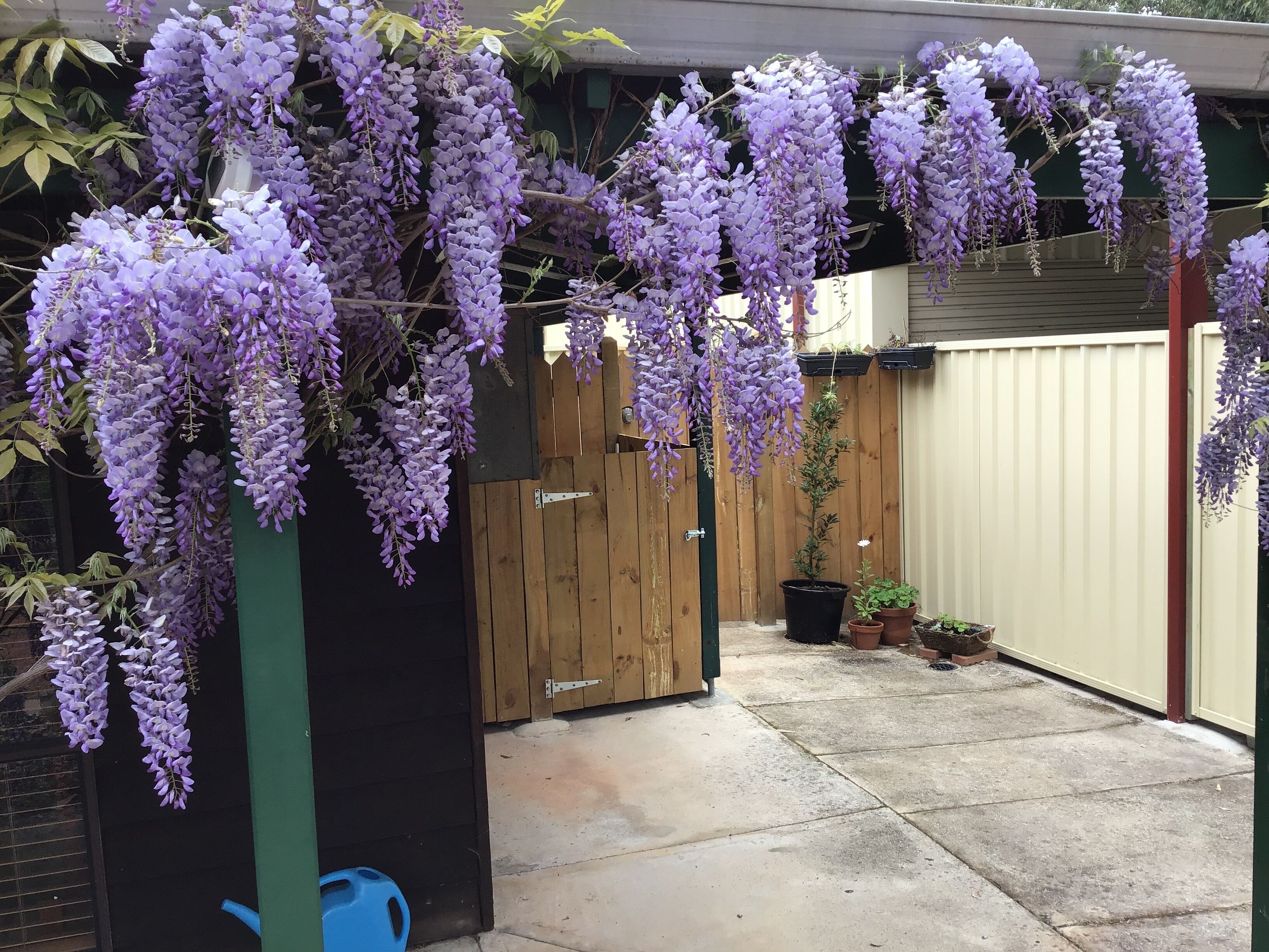 Luxury Outside Spa, Breakfast, Freshly Ground Coffee, Wine &amp; Snacks + Log Stove