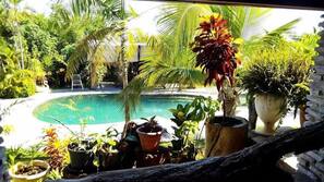 Outdoor pool, pool umbrellas, sun loungers