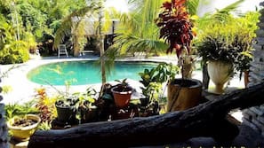 Outdoor pool, pool umbrellas, sun loungers