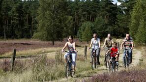 Fahrrad fahren
