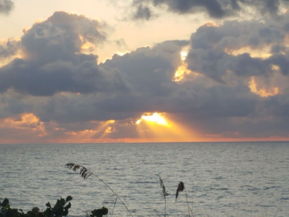 LUXURIOUS 1 BR CONDO WITH OCEAN VIEW, POOL AND SPA