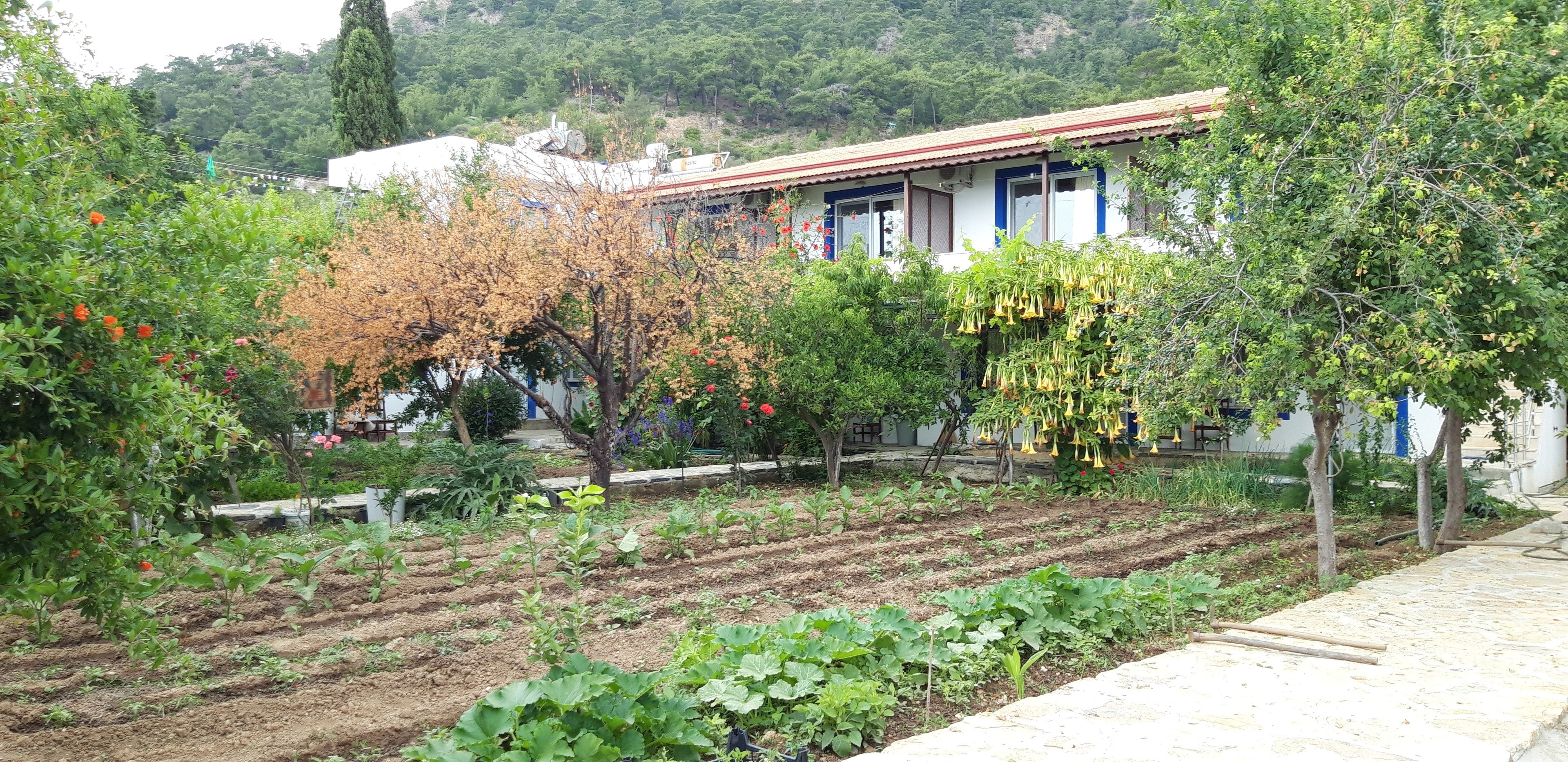 Ege Pansiyon in Çeşme, Turkey