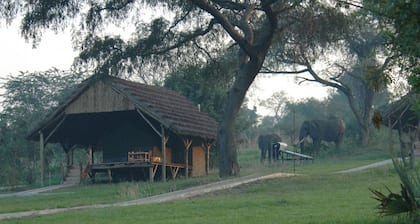 Bwana Tembo Safari Lodge