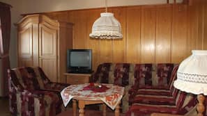 25-Zoll-Fernseher mit Satellitenempfang